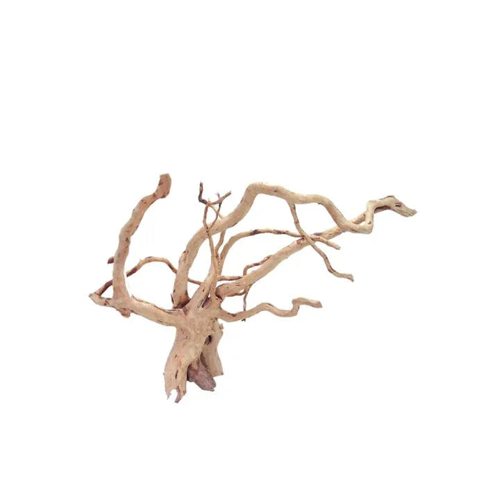 Spider Wood Branch Large 40–50cm natural branching driftwood for aquarium aquascaping and reptile enclosures