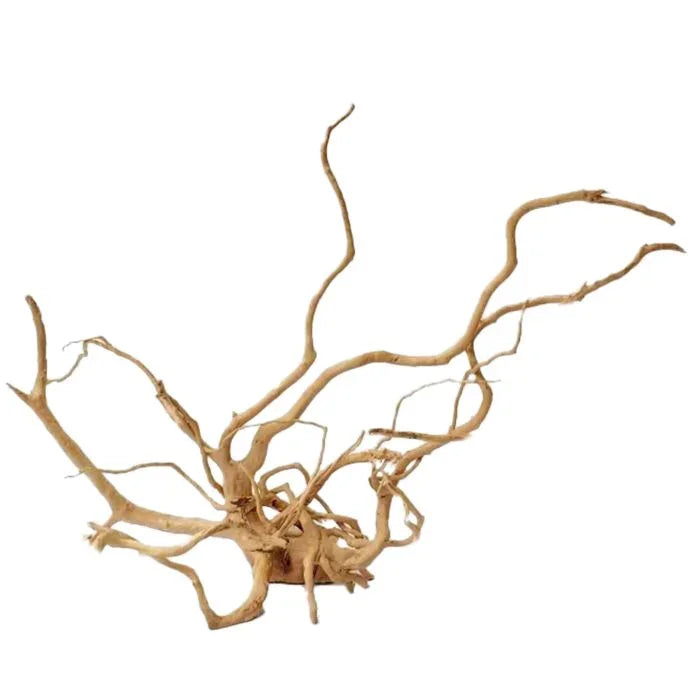 XL Spider Wood Driftwood 50–60cm natural branching driftwood for aquarium aquascaping and reptile enclosures