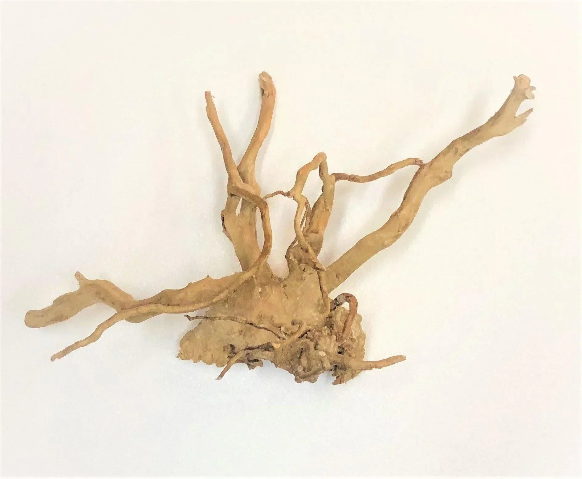 Natural Spider Wood Medium 30–40cm natural branching driftwood for aquarium aquascaping and reptile enclosures