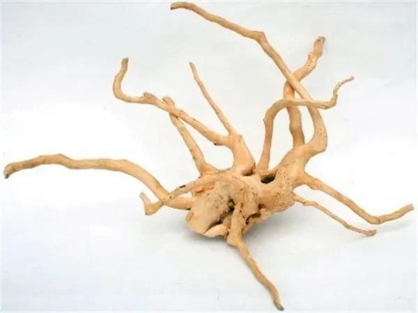 XL Spider Wood Driftwood 50–60cm natural aquarium and reptile enclosure decoration