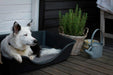 Wonderfold Dog Bed Dark Grey Small (55 x 36 x 16cm)