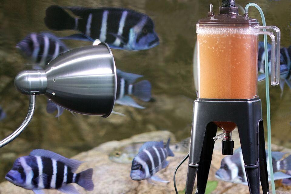 ZISS Aqua Artemia Blender ZH-2000 Plus