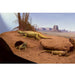 Zoo Med Cavern Kit with Excavator