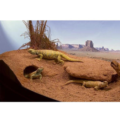 Zoo Med Cavern Kit with Excavator