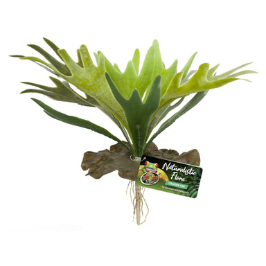 Zoo Med Staghorn Fern Plant
