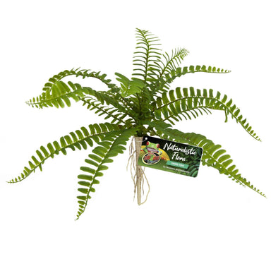 Zoo Med Sword Fern Plant