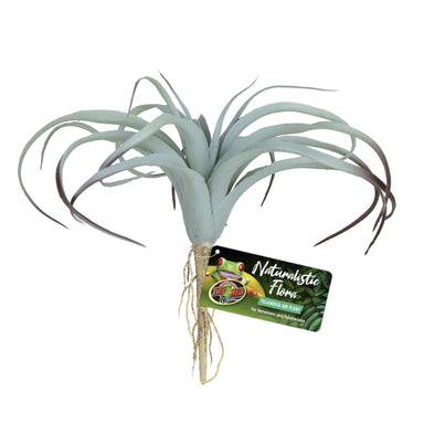 Zoo Med Tillandsia Plant